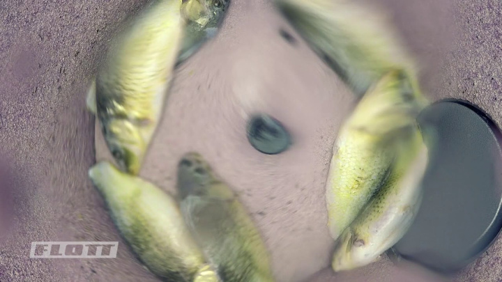 Презентация рыбочистки FLOTT FISH 25K