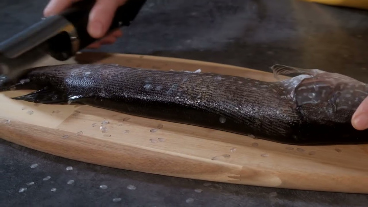 Рыбочистка CRAZY PAN CP FS01, CP FS02W