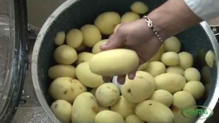 Чистка картофеля с помощью Fama FP