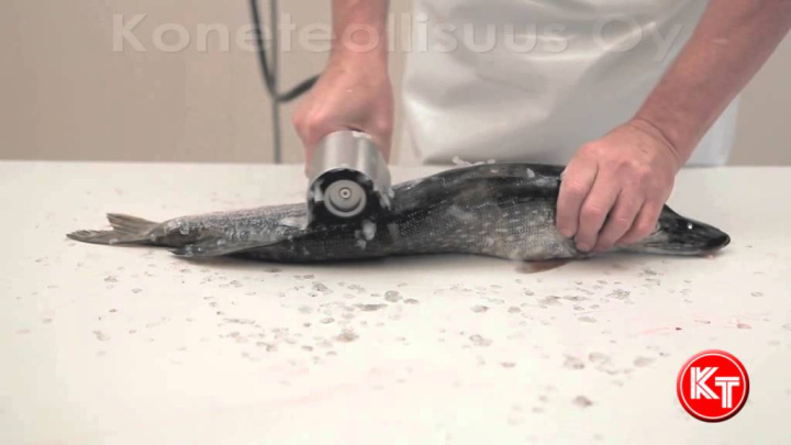 KT-S Fish scaler
