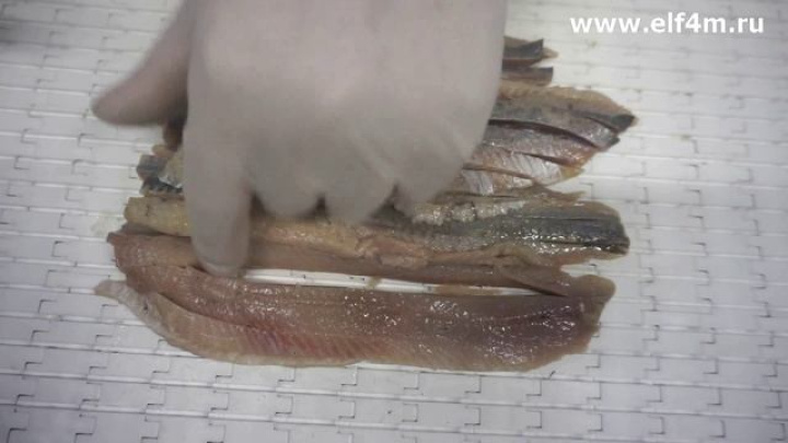 Устройство для нарезки филе сельди кубиками ИПКС-074-01-125-2Ч(Н). Нарезка рыбы кубиками в салаты.