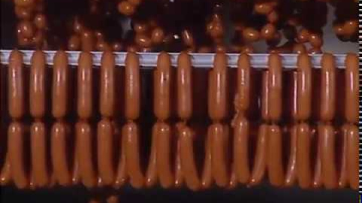 Smoked sausage Production, Smokehouse, Climate chamber, Smoke Chamber