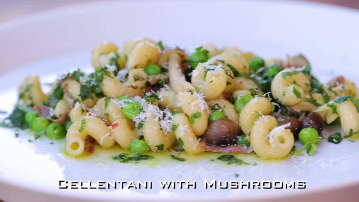 WPC100 Pasta Cooker/Rethermalizer, Waring Commercial