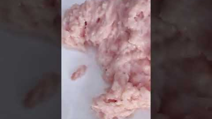 Куттер измельчитель для ресторанов и кафе HR QS6A Foodatlas