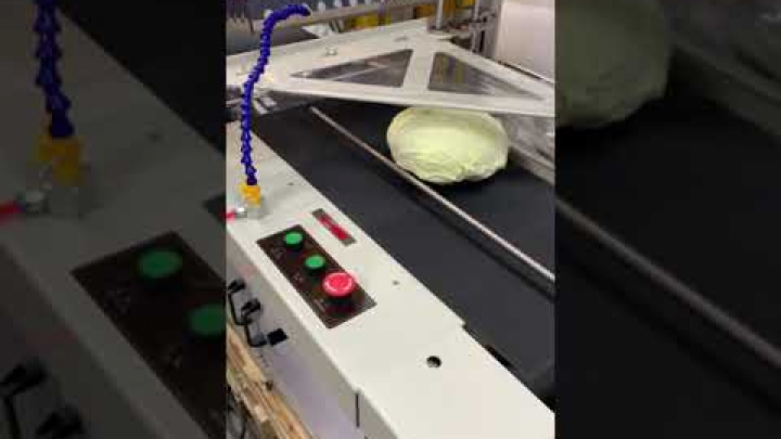 Упаковочная термоусадочная машина BSL-560A Foodatlas