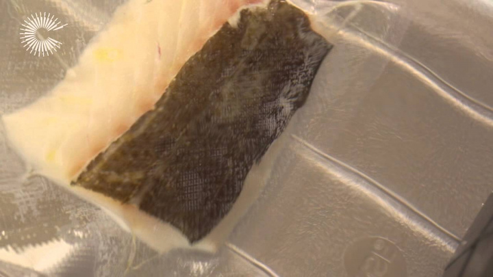 How to use the vacuum sealer