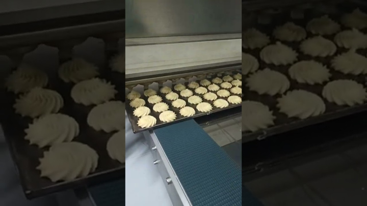 Машина зефироотсадочная МО ЗФ-250