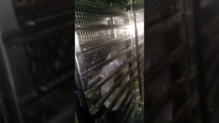 Пароконвектомат Абат ПКА 10 -1/1 ПМ