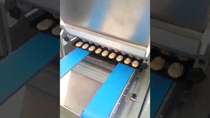 Машина зефироотсадочная МО ЗФ 250