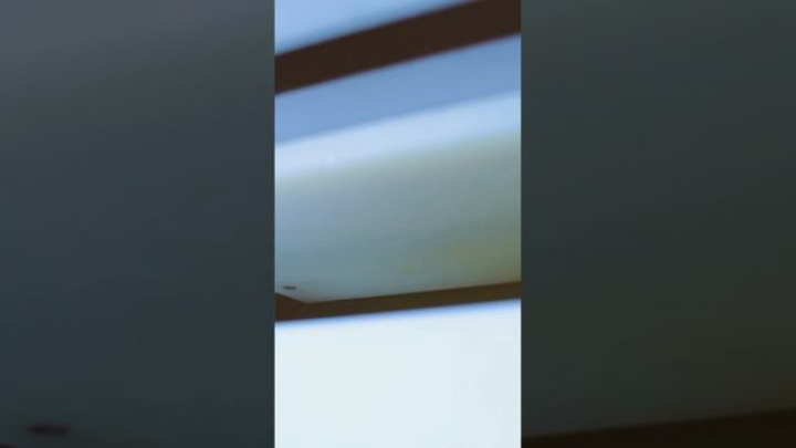 Bongard PANEOTRAD: тестоделитель - формовщик