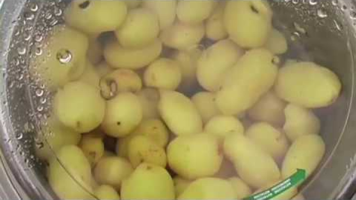 Pelapatate -Potato Peeler  PPN/18M - Fimar Spa