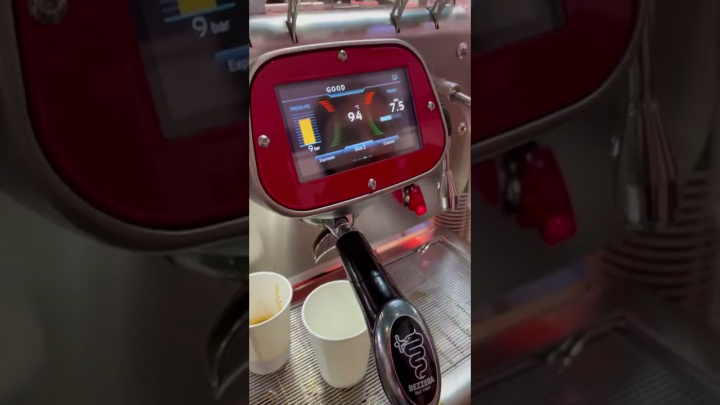 Кофемашина Bezzera Victoria