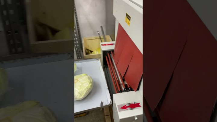 Термоусадочный тоннель BSL-560A Foodatlas термокамера