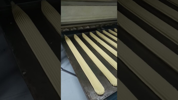 Машина зефироотсадочная МО ЗФ 250