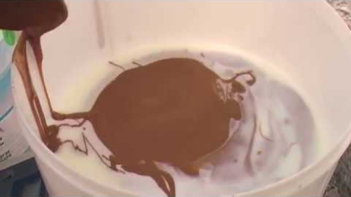 Mixer ad immersione professionale -Immersion blender - MX Fimar Spa