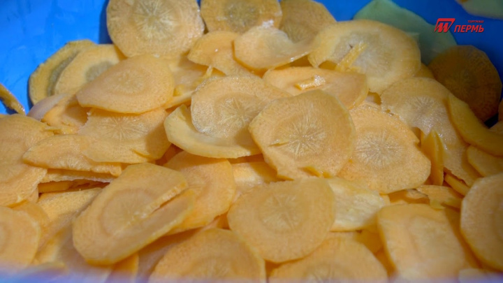 Овощерезка ОM-350M-03 (с частотным преобразователем)