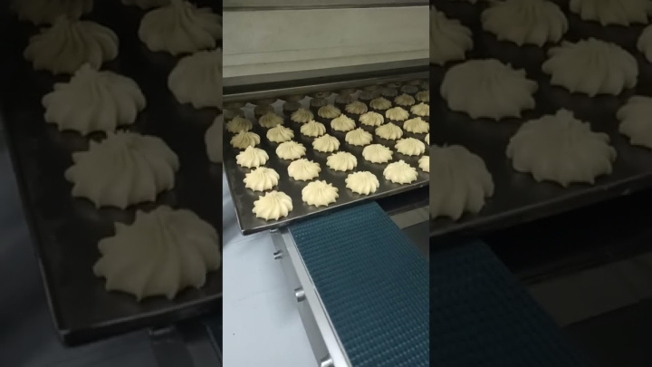 Машина зефироотсадочная МО ЗФ 250