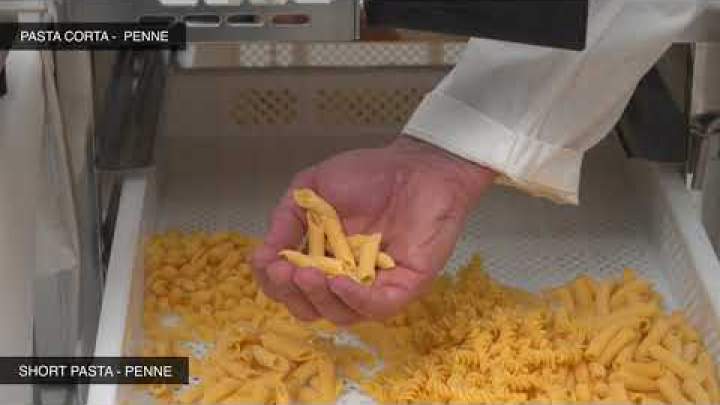 Sirpasta XP macchina per la pasta fresca - pasta machine