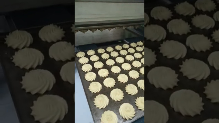 Машина зефироотсадочная МО ЗФ250