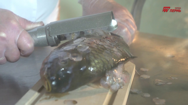 Рыбочистка РЧ-30М