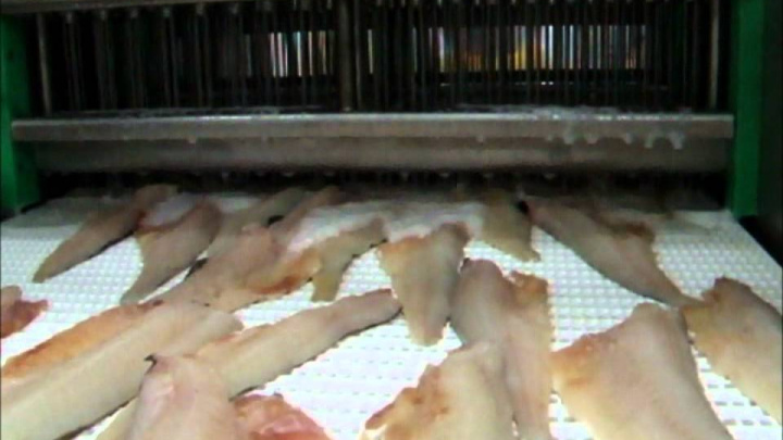 Nastrzykiwarka do ryb ANR/Fish Injector ANR